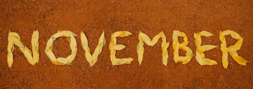 november inscription made from leaves
