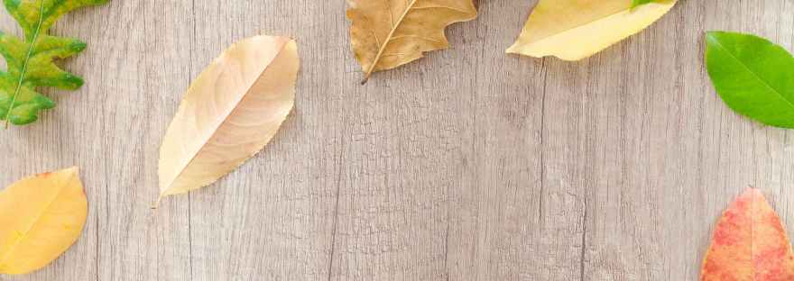 dried leaves on brown wooden table