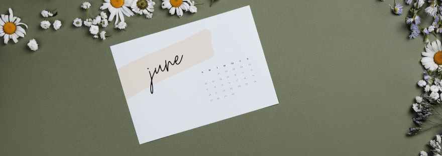 art flowers summer winter